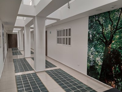 Hotel Ibague Plaza - Ibague, Tolima - image - 7