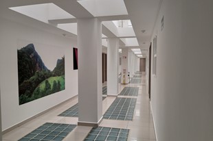 Largas Estadías en Ibagué - Hotel Ibague Plaza - Ibague, Tolima - image - 2