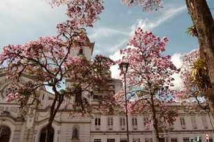 Restaurante Majovic - Hotel Ibague Plaza - Ibague, Tolima - image - 4